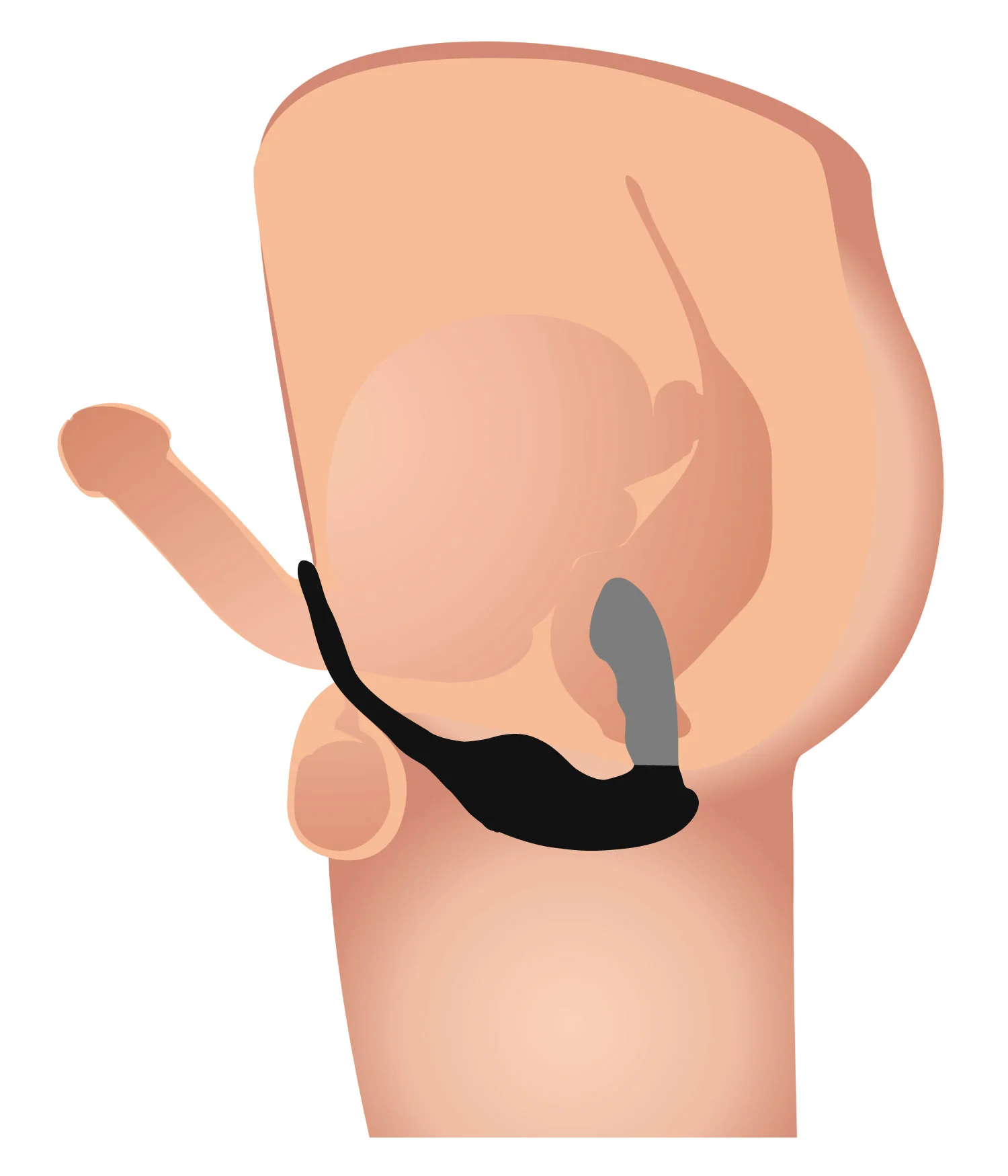 7X P-Strap Milking and Vibrating Prostate Stimulator with Cock and Ball Harness - Image 9