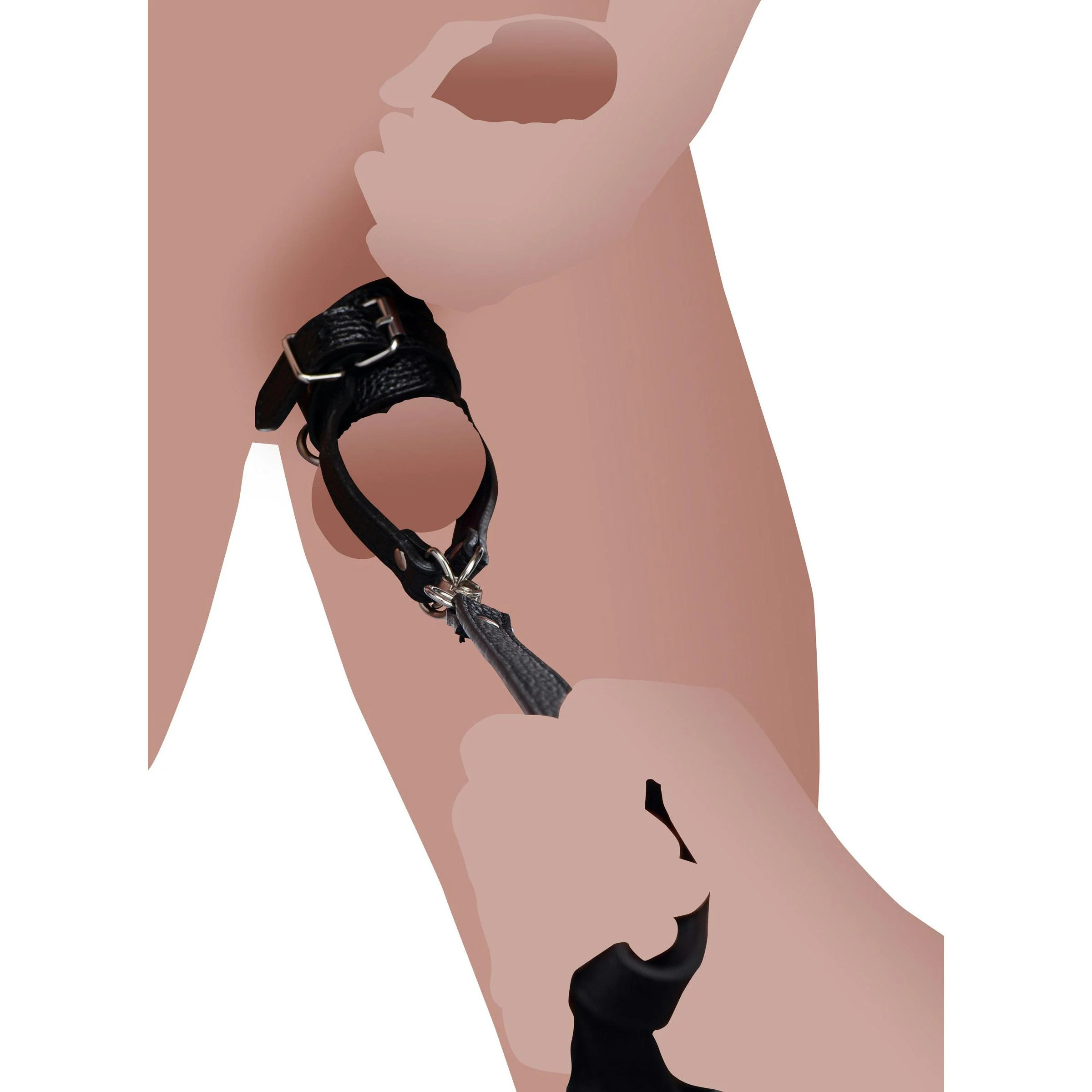 Ball Stretcher With Leash - Image 8
