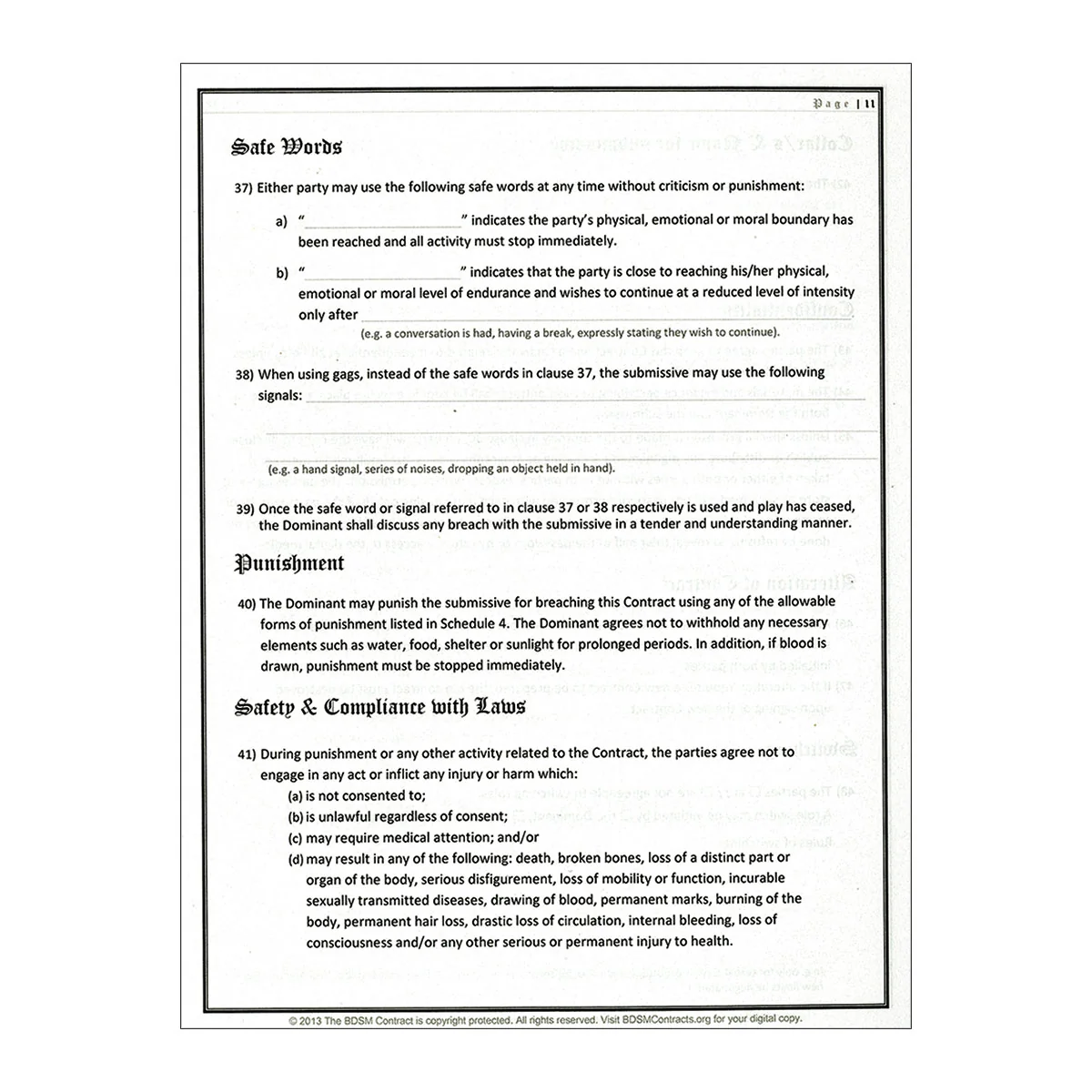 BDSM Contract - Image 3