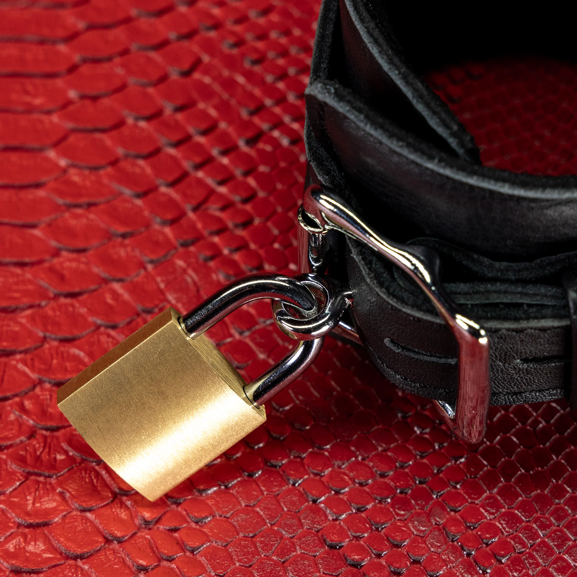 Secure Bondage Padlocks by KINK - Image 5