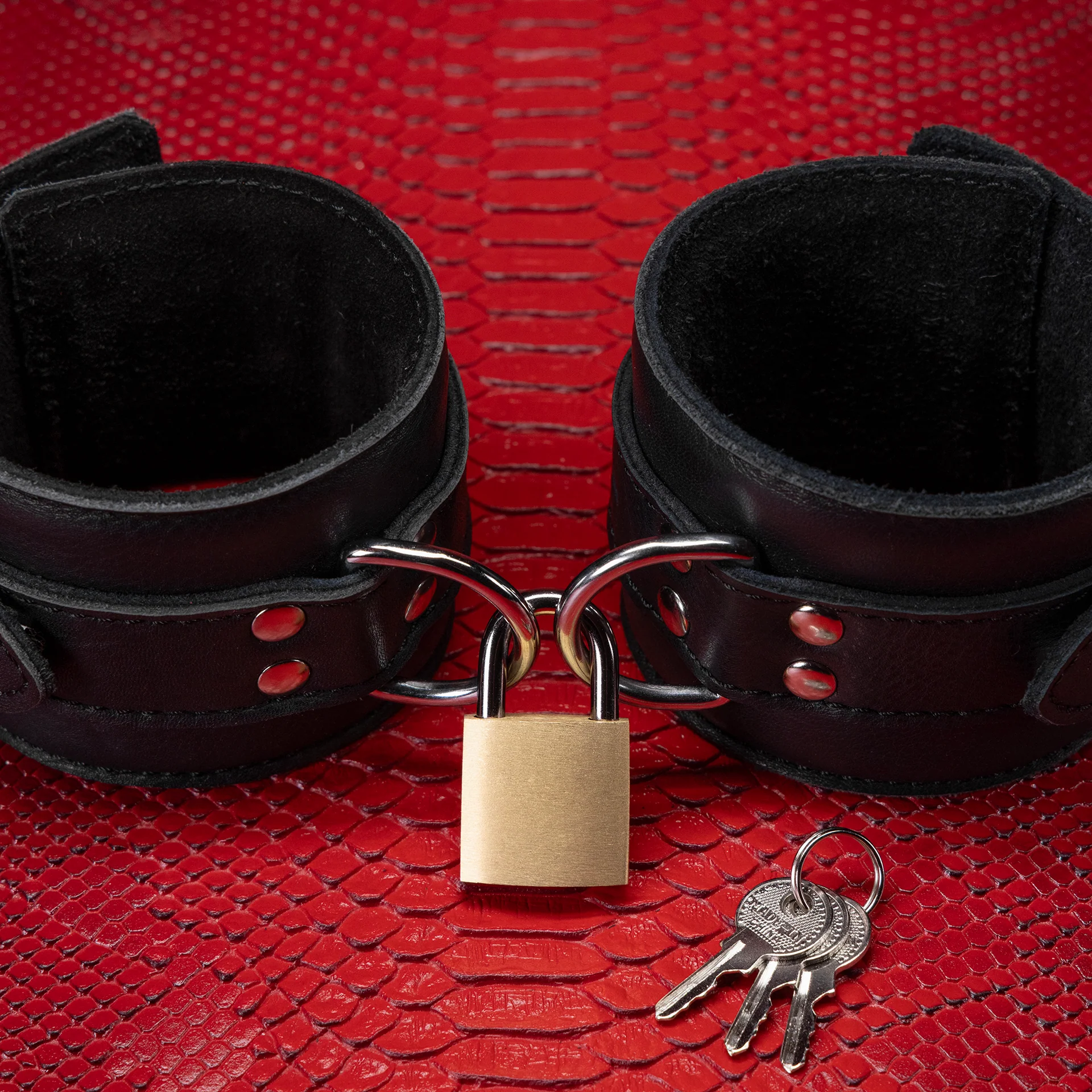 Secure Bondage Padlocks by KINK - Image 7