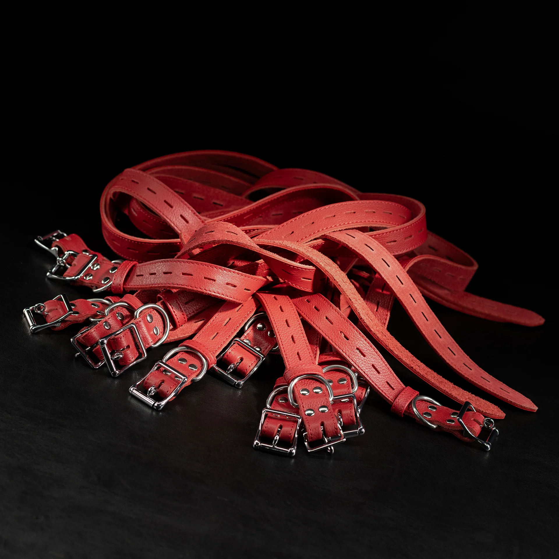 Leather Bondage Belt Sets - Image 14