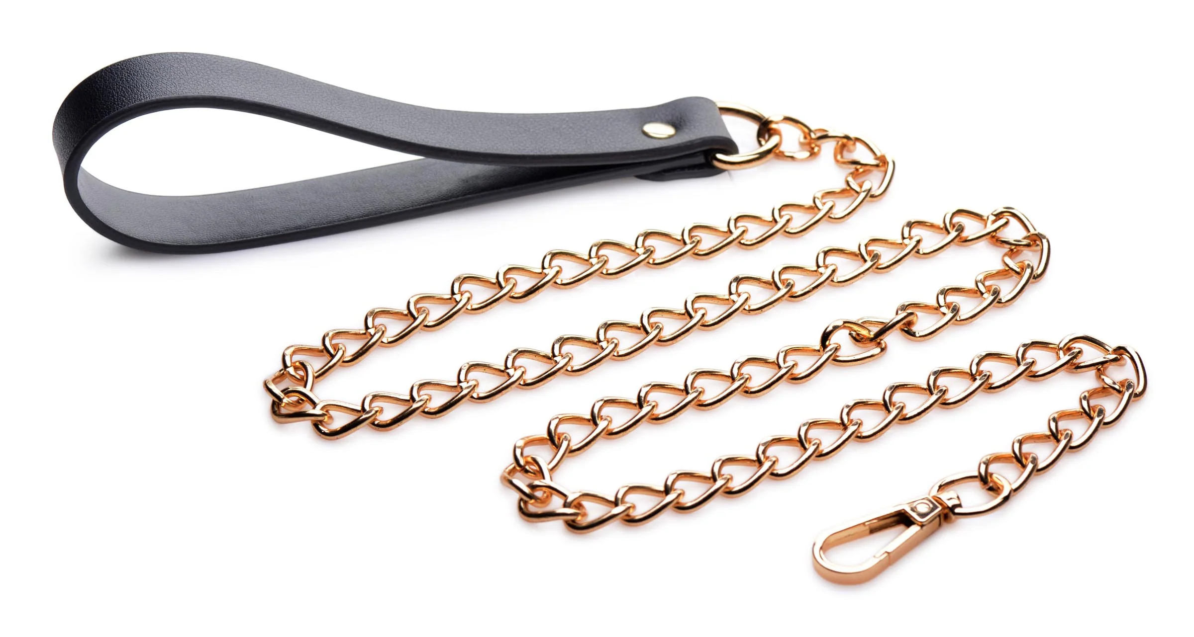 Black and Gold Collar with Leash Kit - Image 5