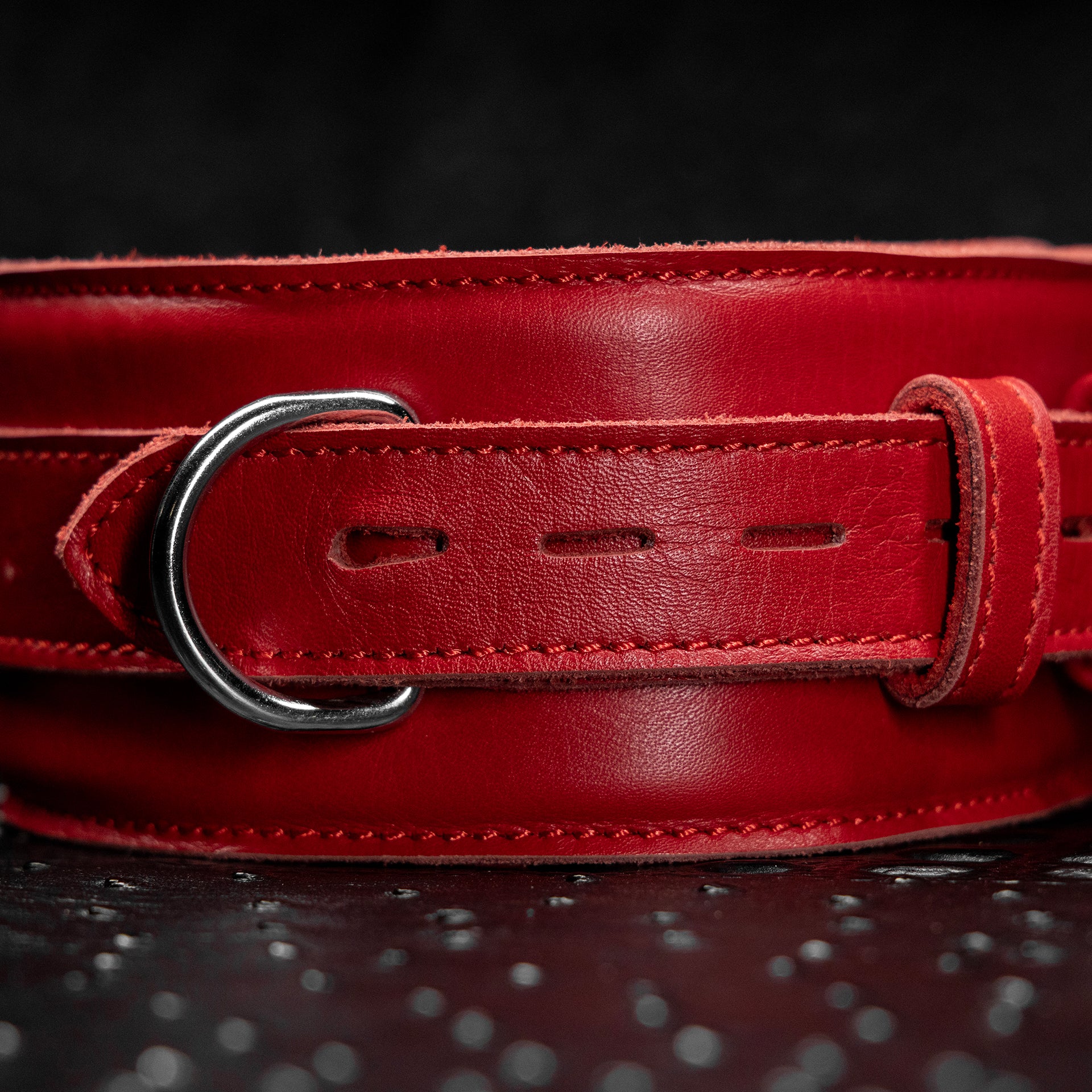 Signature Leather Collar by Kink - Image 11