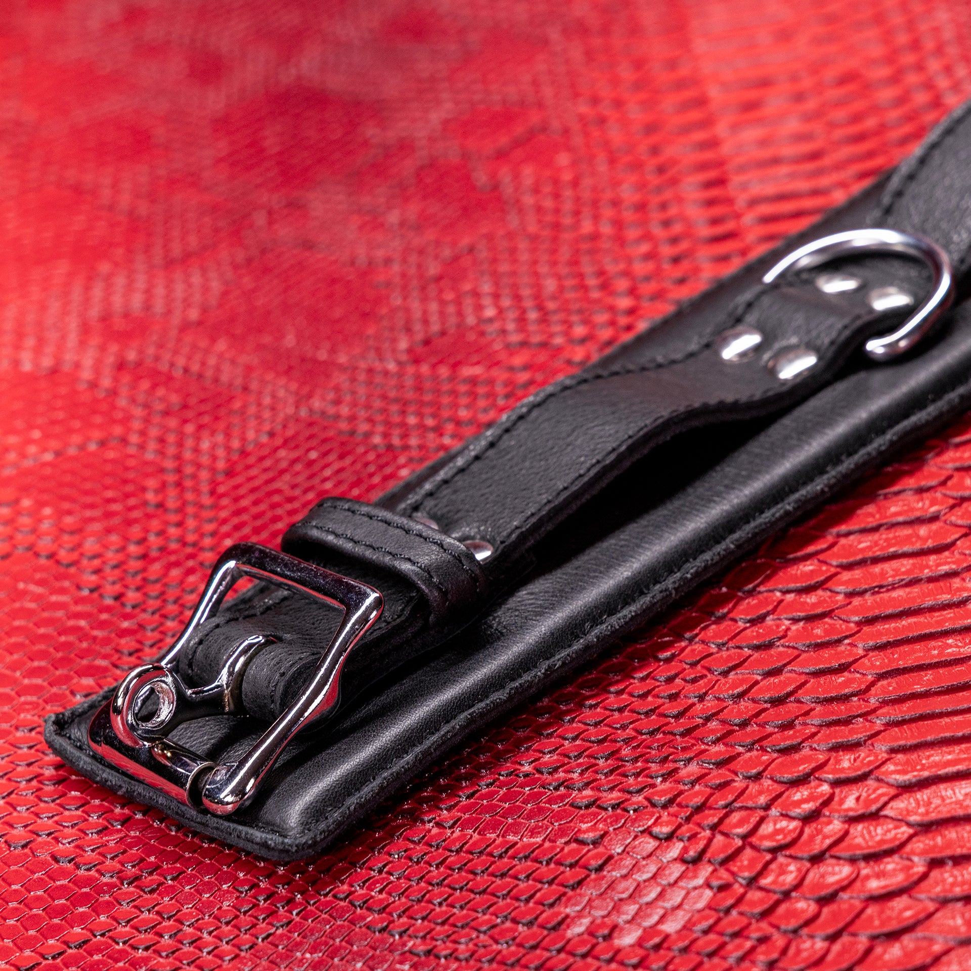 Signature Leather Collar by Kink - Image 14